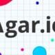 Agar io game