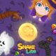 Snake Lite io game